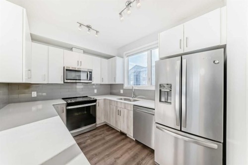 263 Redstone Boulevard Ne, Calgary, AB - Indoor Photo Showing Kitchen With Double Sink With Upgraded Kitchen