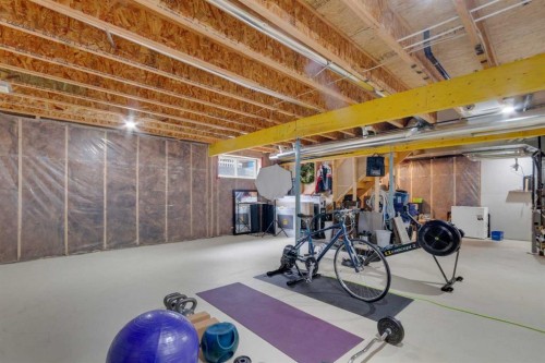 2052 Brightoncrest Green Se, Calgary, AB - Indoor Photo Showing Basement
