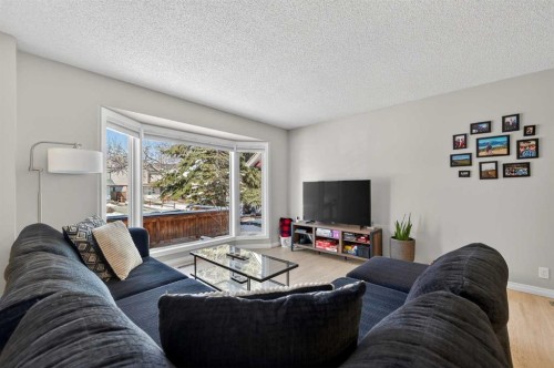 81 Queen Anne Close Se, Calgary, AB - Indoor Photo Showing Living Room