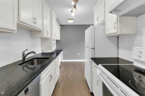 210-1602 11 Avenue Sw, Calgary, AB - Indoor Photo Showing Kitchen
