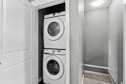 410 Skyview Point Place Ne, Calgary, AB - Indoor Photo Showing Laundry Room