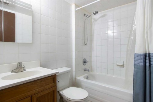 1108 Marcombe Crescent Ne, Calgary, AB - Indoor Photo Showing Bathroom