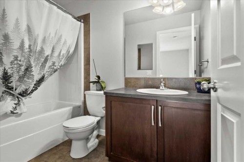 399 Copperpond Boulevard Se, Calgary, AB - Indoor Photo Showing Bathroom