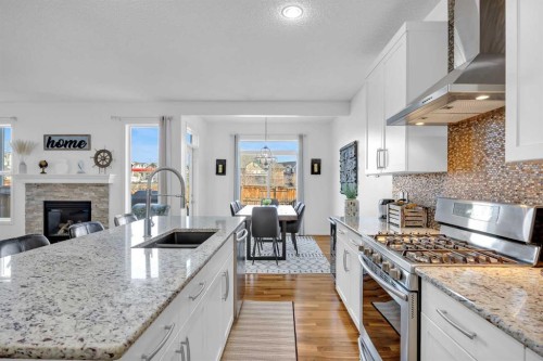 30 Cranarch View Se, Calgary, AB - Indoor Photo Showing Kitchen With Double Sink With Upgraded Kitchen