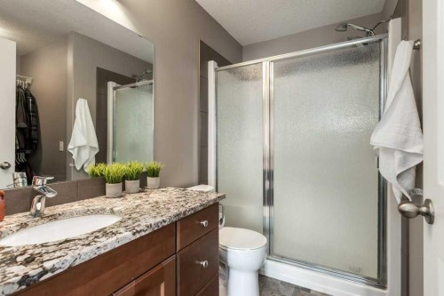 105 Wildrose Green, Strathmore, AB - Indoor Photo Showing Bathroom