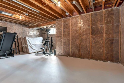 105 Wildrose Green, Strathmore, AB - Indoor Photo Showing Basement
