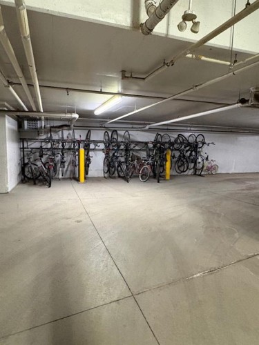404-1000 Centre Avenue Ne, Calgary, AB - Indoor Photo Showing Garage