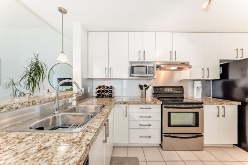 404-1000 Centre Avenue Ne, Calgary, AB - Indoor Photo Showing Kitchen With Double Sink