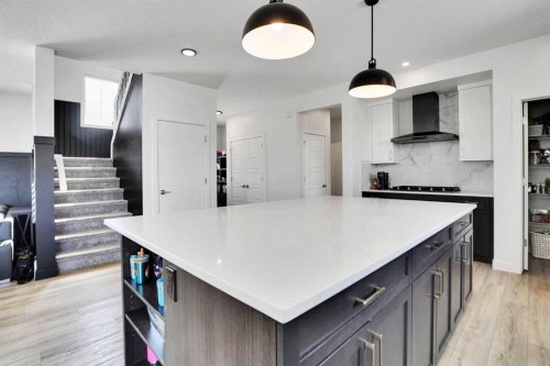 188 Brander Avenue, Langdon, AB - Indoor Photo Showing Kitchen With Upgraded Kitchen