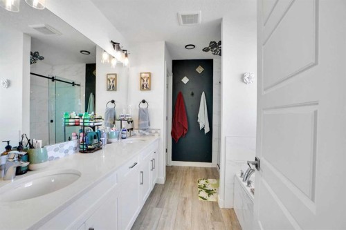 188 Brander Avenue, Langdon, AB - Indoor Photo Showing Bathroom
