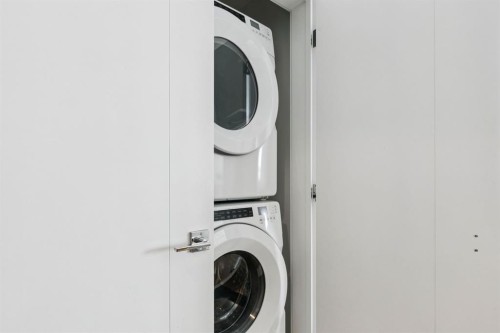 1415-60 Skyview Ranch Road Ne, Calgary, AB - Indoor Photo Showing Laundry Room