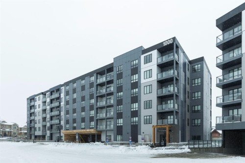 1415-60 Skyview Ranch Road Ne, Calgary, AB - Outdoor With Balcony With Facade