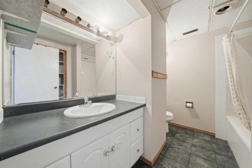 488 Templevale Drive Ne, Calgary, AB - Indoor Photo Showing Bathroom