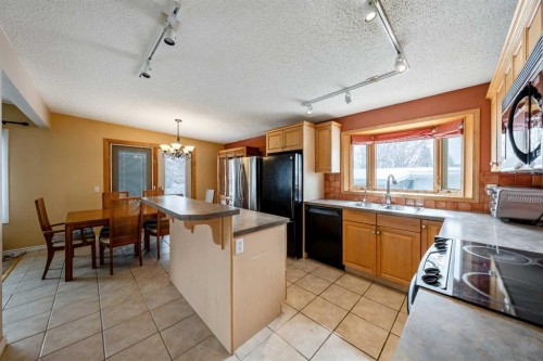 1017 Mckinnon Drive Ne, Calgary, AB - Indoor Photo Showing Kitchen With Double Sink