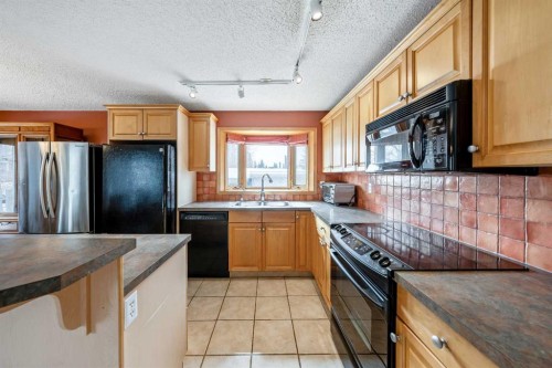 1017 Mckinnon Drive Ne, Calgary, AB - Indoor Photo Showing Kitchen With Double Sink