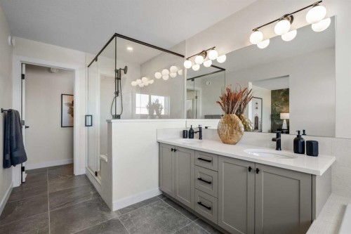 203 Huxland Path Ne, Calgary, AB - Indoor Photo Showing Bathroom