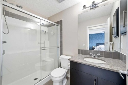 157 Fireside Circle Nw, Cochrane, AB - Indoor Photo Showing Bathroom