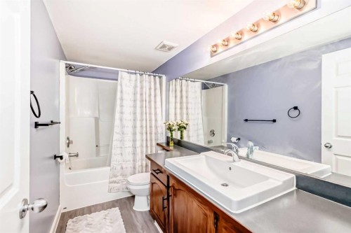 435 Coventry Road Ne, Calgary, AB - Indoor Photo Showing Bathroom