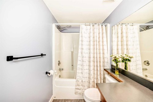 435 Coventry Road Ne, Calgary, AB - Indoor Photo Showing Bathroom