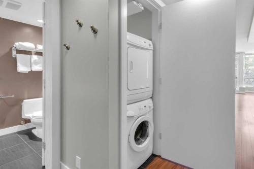 251-222 Riverfront Avenue Sw, Calgary, AB - Indoor Photo Showing Laundry Room