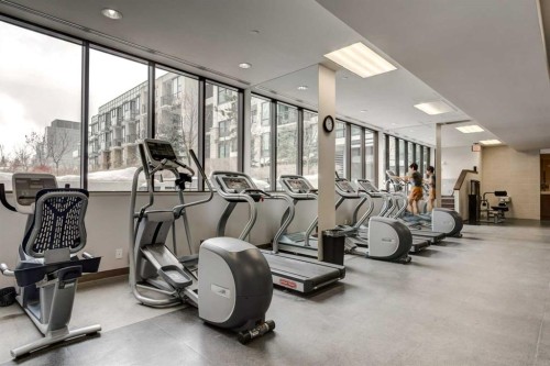 251-222 Riverfront Avenue Sw, Calgary, AB - Indoor Photo Showing Gym Room