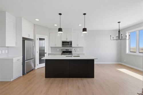 139 Belvedere Crescent Se, Calgary, AB - Indoor Photo Showing Kitchen With Upgraded Kitchen