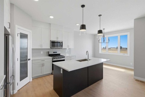 139 Belvedere Crescent Se, Calgary, AB - Indoor Photo Showing Kitchen With Double Sink With Upgraded Kitchen