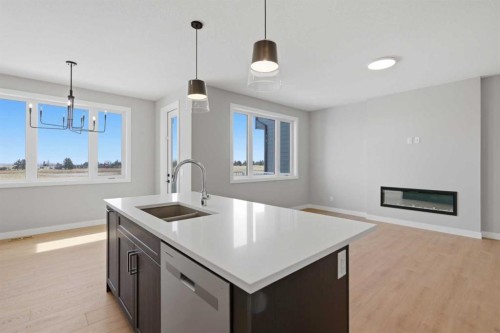 139 Belvedere Crescent Se, Calgary, AB - Indoor Photo Showing Kitchen With Double Sink