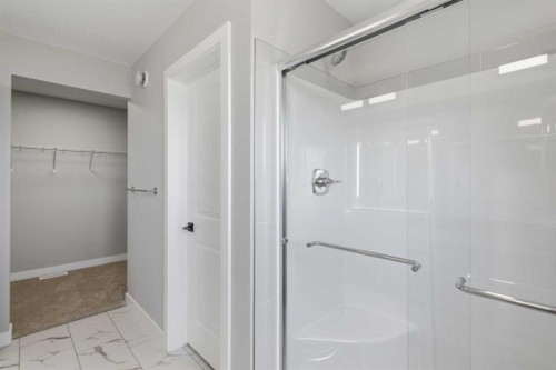 139 Belvedere Crescent Se, Calgary, AB - Indoor Photo Showing Bathroom