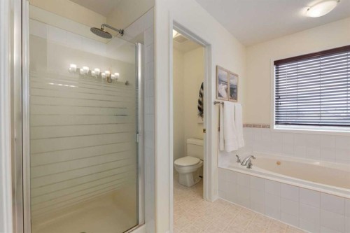 168 West Creek Pond, Chestermere, AB - Indoor Photo Showing Bathroom
