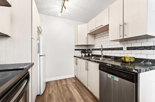 3-6100 4 Avenue Ne, Calgary, AB - Indoor Photo Showing Kitchen With Double Sink