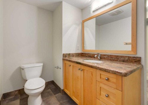 367 Acadia Drive Se, Calgary, AB - Indoor Photo Showing Bathroom