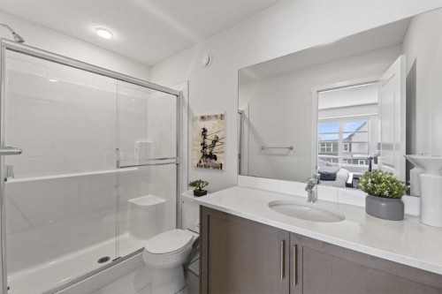 29 Carringvue Way Nw, Calgary, AB - Indoor Photo Showing Bathroom