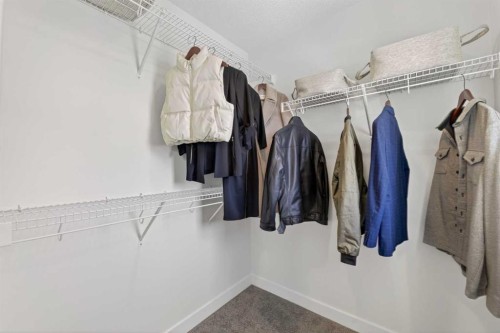 29 Carringvue Way Nw, Calgary, AB - Indoor With Storage