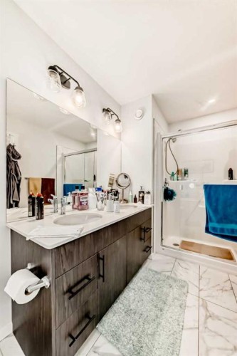 91 Walcrest Way Se, Calgary, AB - Indoor Photo Showing Bathroom