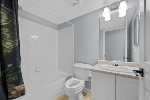 1102-6224 17 Avenue Se, Calgary, AB - Indoor Photo Showing Bathroom