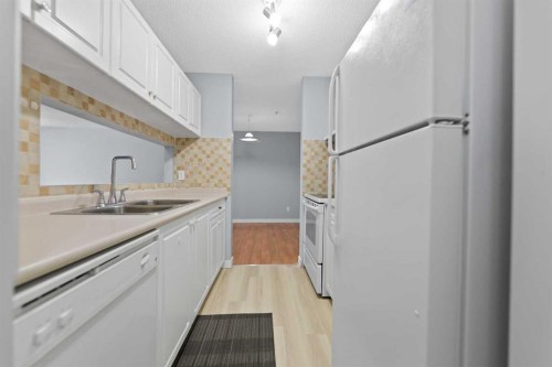 1102-6224 17 Avenue Se, Calgary, AB - Indoor Photo Showing Kitchen With Double Sink