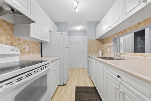 1102-6224 17 Avenue Se, Calgary, AB - Indoor Photo Showing Kitchen With Double Sink