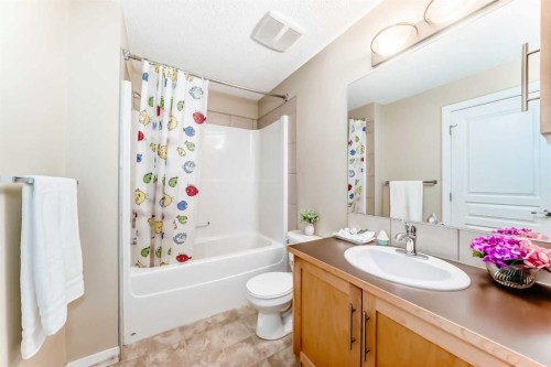 203-48 Panatella Road Nw, Calgary, AB - Indoor Photo Showing Bathroom
