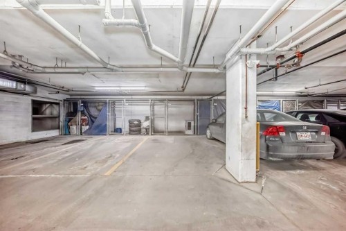 203-48 Panatella Road Nw, Calgary, AB - Indoor Photo Showing Garage