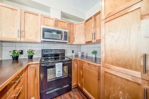 203-48 Panatella Road Nw, Calgary, AB - Indoor Photo Showing Kitchen