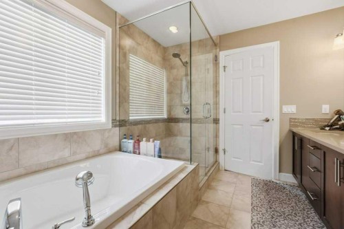 148 Viewpointe Terrace, Chestermere, AB - Indoor Photo Showing Bathroom