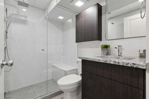 63 Walden Drive Se, Calgary, AB - Indoor Photo Showing Bathroom