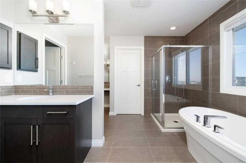 124 Auburn Meadows Crescent Se, Calgary, AB - Indoor Photo Showing Bathroom