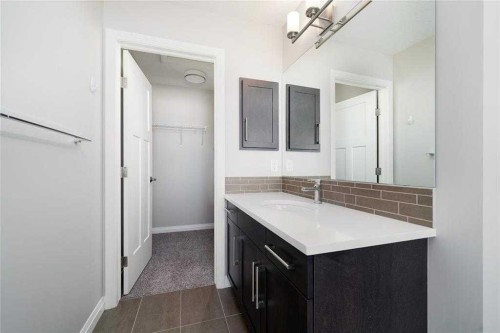 124 Auburn Meadows Crescent Se, Calgary, AB - Indoor Photo Showing Bathroom