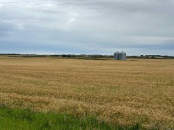 SW 14 31 27 W4 Rural Mountain View County, AB T0M 1X0