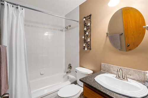 184 Sunmeadows Crescent Se, Calgary, AB - Indoor Photo Showing Bathroom