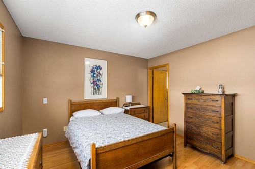 184 Sunmeadows Crescent Se, Calgary, AB - Indoor Photo Showing Bedroom