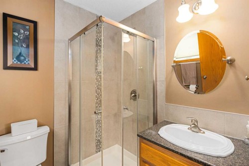 184 Sunmeadows Crescent Se, Calgary, AB - Indoor Photo Showing Bathroom
