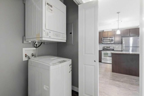 439-23 Millrise Drive Sw, Calgary, AB - Indoor Photo Showing Laundry Room